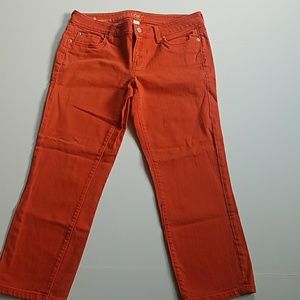 Ann Taylor loft jeans
